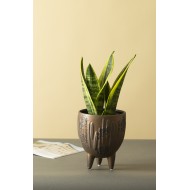 Donica Irma brązowa ceramiczna |  Wysyłka w 24h!