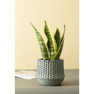 Donica błękitna w kółka |  Wysyłka w 24h!