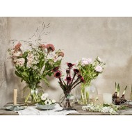 Patera do ciasta owoców metalowa zielona | Wysyłka w 24h!