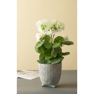 Donica Zoe betonowa szara |  Wysyłka w 24h!