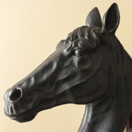 TROFEUM poroże KONIA do powieszenia | Wysyłka w 24h!