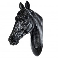 TROFEUM poroże KONIA do powieszenia | Wysyłka w 24h!