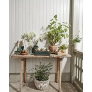 SPRYSKIWACZ DO KWIATÓW szklany 200ml