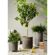 Donica Nyla czarna komplet |  Wysyłka w 24h!