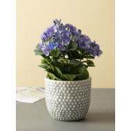 Donica Hagel ceramiczna kolor szary |  Wysyłka w 24h!