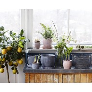 Pojemnik słoik szklany przezroczysty | Wysyłka w 24h