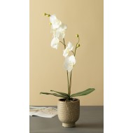 Donica Stim brązowa ceramiczna |  Wysyłka w 24h!