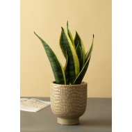 Donica Stim brązowa ceramika |  Wysyłka w 24h!