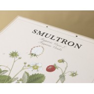 Plakat kartonowy dzika truskawka