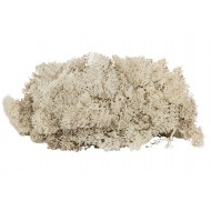 Mech Naturalny dekoracyjny beżowy | Wysyłka w 24 godziny!