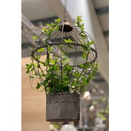 Kwietnik klatka balon retro | Wysyłka w 24 godziny!