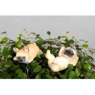 Ozdoba do doniczki bulldogi |  Wysyłka w 24h!