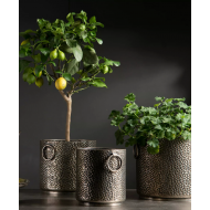 Zestaw Srebrnych Metalowych Doniczek z Plastikowym Pojemnikiem – Luksusowy Dodatek do Domu