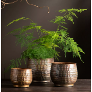 Eleganckie Doniczki Metalowe w Kolorze Złotym – Komplet Trzech