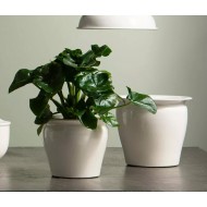 Komplet Białych Metalowych Doniczek – Idealne do Bonsai i Sukulentów