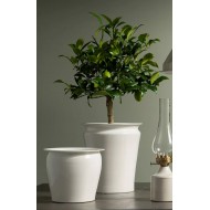 Komplet Białych Metalowych Doniczek – Idealne do Bonsai i Sukulentów