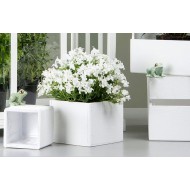 Ozdoby do Doniczki w Kształcie Żab – Komplet Dwóch, Zielone