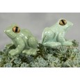 Ozdoby do Doniczki w Kształcie Żab – Komplet Dwóch, Zielone