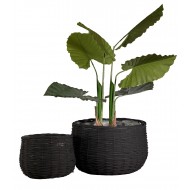 Wiklinowe Doniczki Kosze – Komplet Dwóch, Czarny, Wysoka Jakość