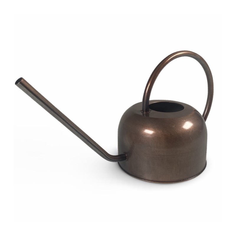 Konewka Loftowa Metalowa 1L – Idealna do Podlewania Roślin w Domu i Ogrodzie