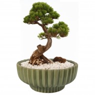 Zielona Doniczka Ceramiczna – Idealna do Bonsai i Innych Roślin