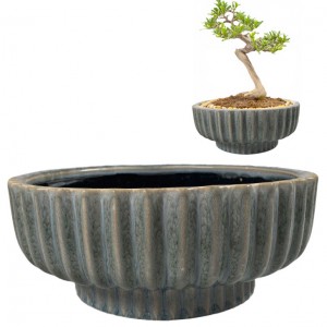 Błękitna Doniczka Ceramiczna – Idealna do Bonsai i Innych Roślin