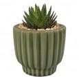Zielona Doniczka Ceramiczna – Idealna na Sukulenty i Aloesy