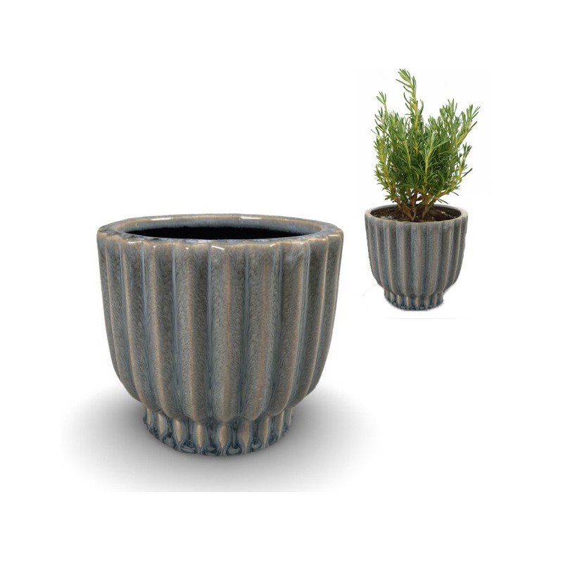 Błękitna Doniczka Ceramiczna 10.5cm – Idealna do Bonsai i Sukulentów