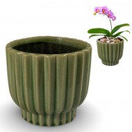 Zielona Doniczka Ceramiczna 10.5cm – Idealna do Bonsai i Sukulentów