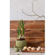 Zielona Doniczka Ceramiczna 10.5cm – Idealna do Bonsai i Sukulentów