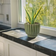 Zielona Doniczka Ceramiczna 18.5cm – Idealna do Bonsai i Sukulentów