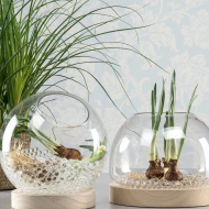 Kulki Hydrożelowe 10-12mm wodne perły – Efektowne Dekoracje