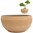 Duża Doniczka na Bonsai z Terakoty – Ręcznie Wykonana Misa