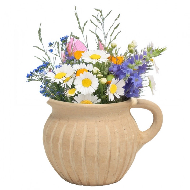 Naturalny Gliniany Dzbanek – Ręcznie Wykonany Wazon z Uchwytem