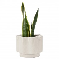 Biała Ceramiczna Doniczka – na parapet do salonu