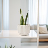 Biała Ceramiczna Doniczka – na parapet do salonu