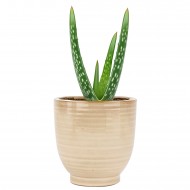 Beżowa Połyskująca Doniczka Ceramiczna – Skandynawski Styl, Idealna do Roślin Domowych