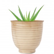 Doniczka Beżowa Ceramiczna – Skandynawski Styl, Idealna do Roślin Domowych