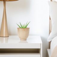 Doniczka Beżowa Ceramiczna – Skandynawski Styl, Idealna do Roślin Domowych