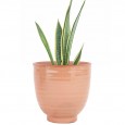 Doniczka Ceramiczna Łososiowo-Różowa – Idealna do Roślin Domowych
