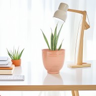 Doniczka Ceramiczna Łososiowo-Różowa – Idealna do Roślin Domowych