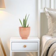 Doniczka Ceramiczna Łososiowo-Różowa – Idealna do Roślin Domowych