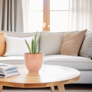 Doniczka Ceramiczna Łososiowo-Różowa – Idealna do Roślin Domowych