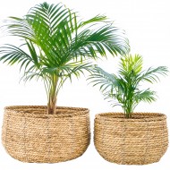 Komplet Doniczek Boho z Suszonej Trawy – Naturalne Piękno i Funkcjonalność