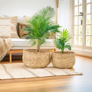 Komplet Doniczek Boho z Suszonej Trawy – Naturalne Piękno i Funkcjonalność