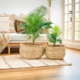 Komplet Doniczek Boho z Suszonej Trawy – Naturalne Piękno i Funkcjonalność