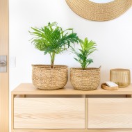 Komplet Doniczek Boho z Suszonej Trawy – Naturalne Piękno i Funkcjonalność