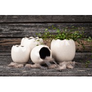 Biała Połyskująca Doniczka Ceramiczna – Skandynawski Styl, Idealna na Sukulenty