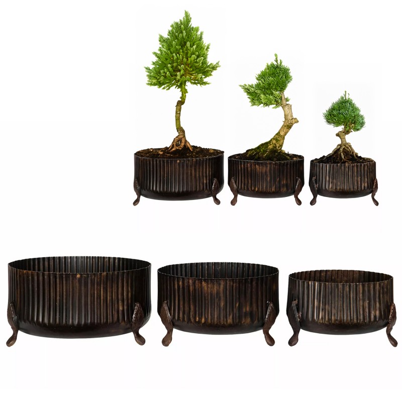 Komplet Doniczek na Bonsai – Eleganckie Metalowe Doniczki na Nóżkach