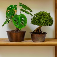 Komplet Doniczek Misa w Stylu Loft – Idealne na Bonsai i Rośliny Domowe